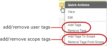 Tag options on quick actions menu.