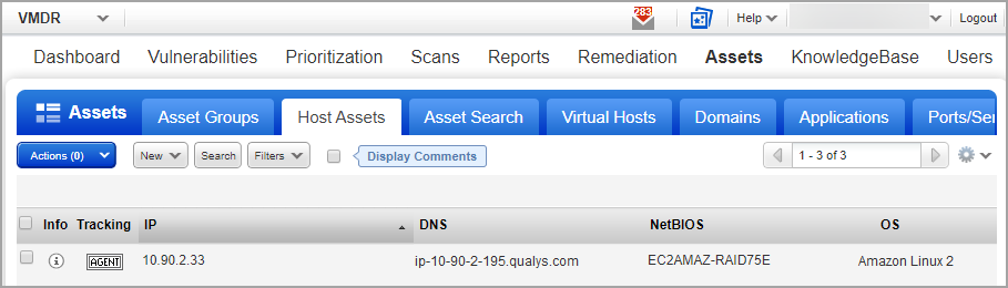 Host assets list in the VM, PC or SCA apps.