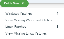 Options displayed to patch vulnerabilities.