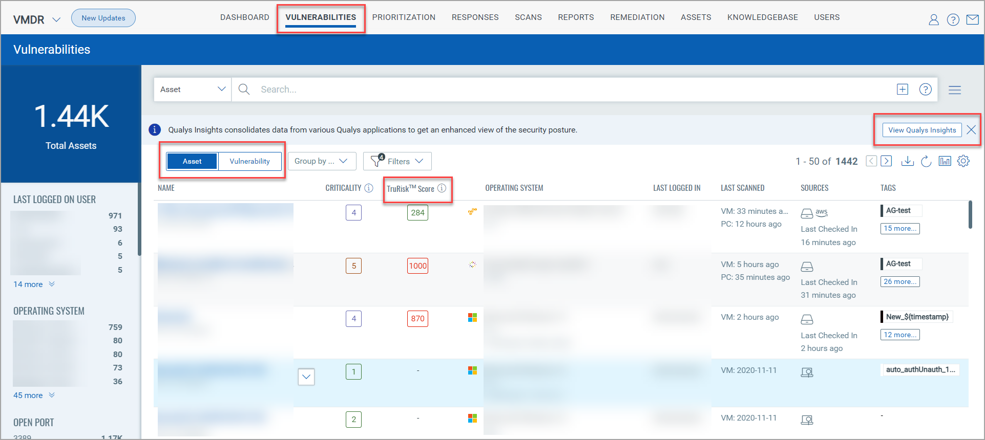 Vulnerabilities tab overall view under the Assets field.