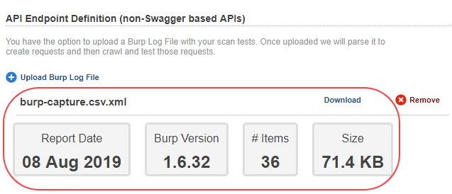 Burp file details that are displayed on uploading a burp issues file.