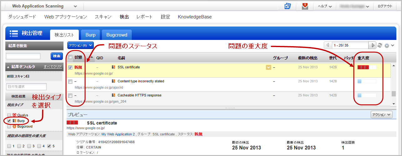検出リストで Burp フィルタを使用して Burp 問題を表示。