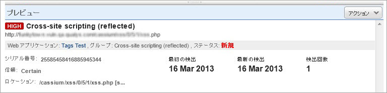検出リストから選択した Burp 問題の詳細を表示するプレビューペイン。