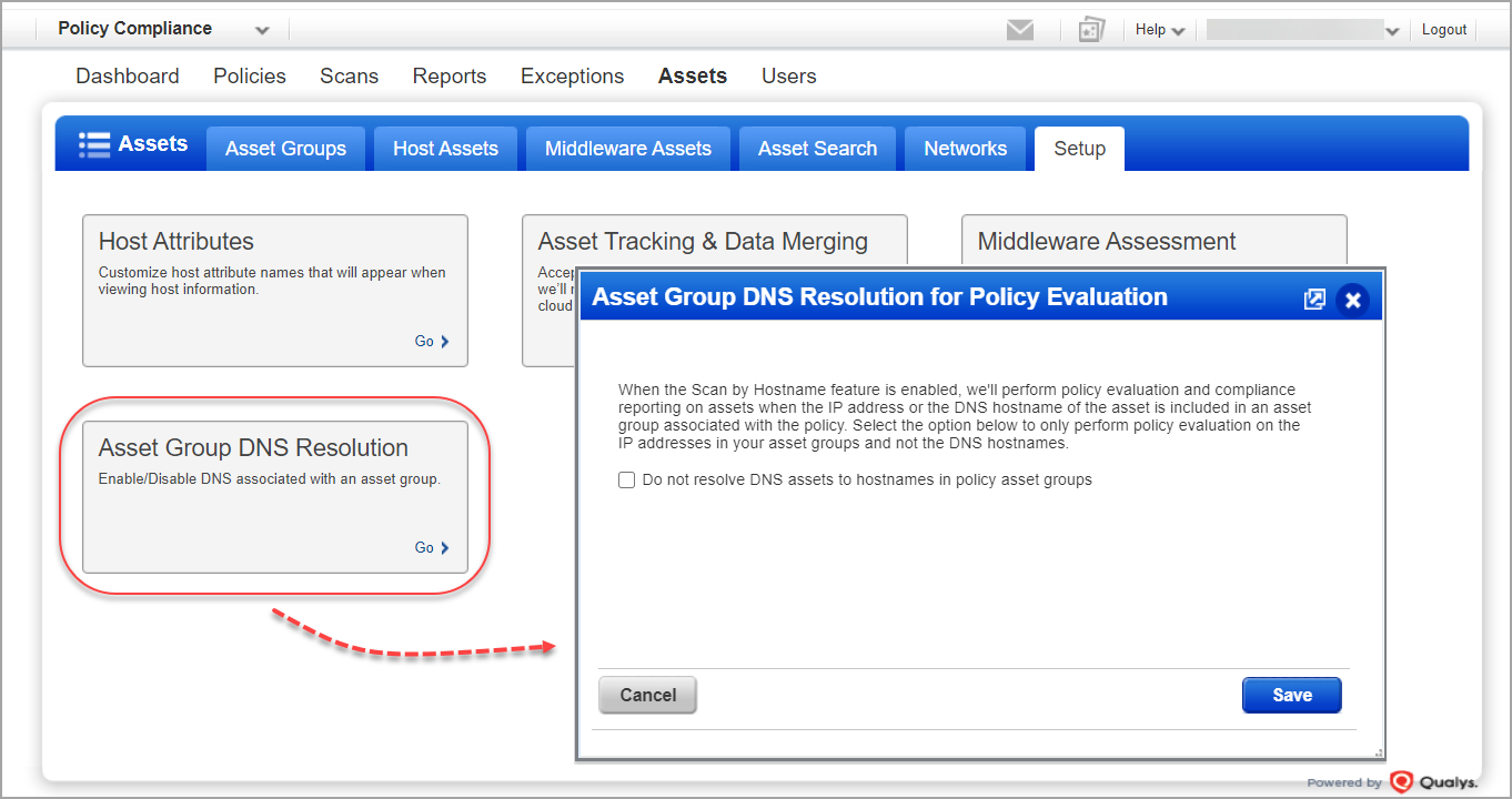 Asset Group DNS Resolution Setup option
