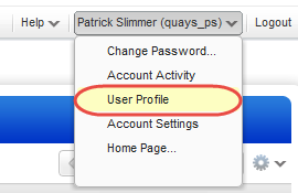 User Profile option below user name